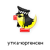 утка-юргенсен