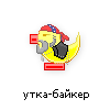 утка-байкер утка-байкер