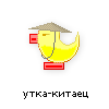 утка-китаец