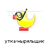 утка-ныряльщик утка-нырялщик