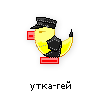 утка-гей