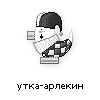 утка-арлекин утка-арлекин