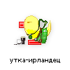утка-ирландец утка-ирландец