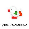 утка-итальянская утка-итальянская