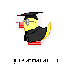 утка-магистр утка-магистр