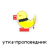 утка-проповедник утка-проповедник