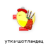 утка-шотландец